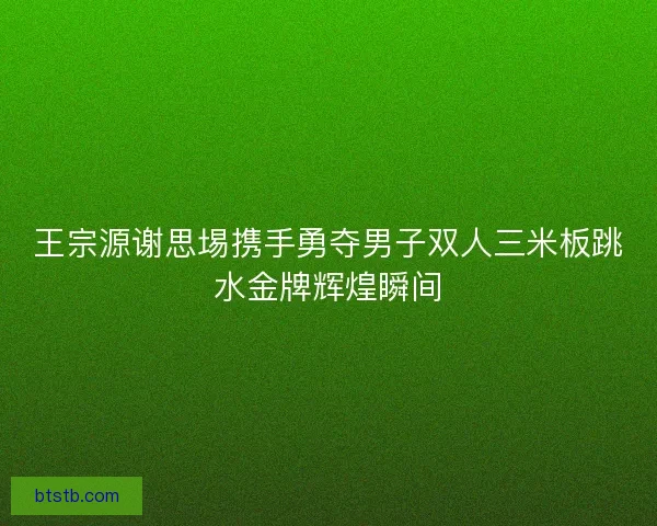 王宗源谢思埸携手勇夺男子双人三米板跳水金牌辉煌瞬间